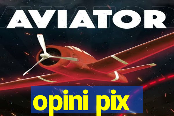 opini pix